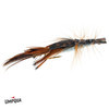 CLOUSER CRAYFISH