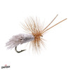 GODDARD CADDIS