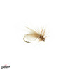 RESTING CADDIS