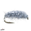 SOW BUG