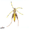 NO-BRAINER HOPPER
