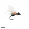 CB'S SLACK WATER ANT