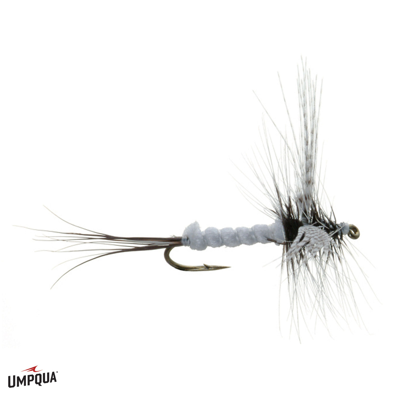 Coffin fly pattern clearance