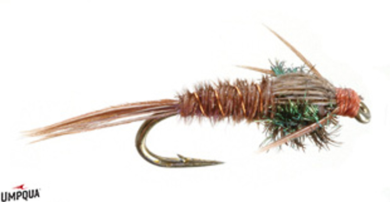 BestCity Fly Fishing PHEASANT TAIL NYMPHS Flashback pack of 8