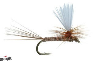 A.K.'s Parachute — proven PMD dry fly pattern