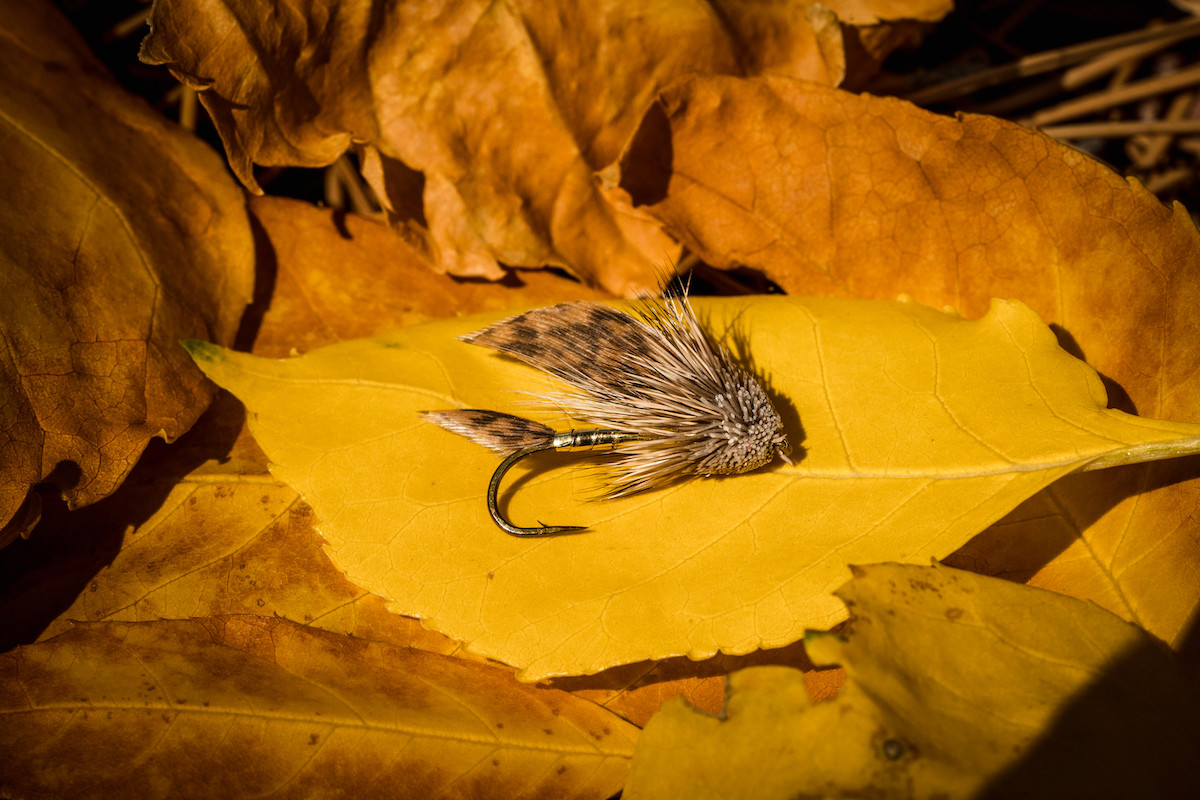 TMC5263 Nymph Hooks Umpqua Feather Merchants