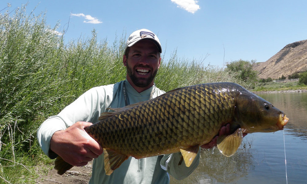 Darin Elmore  Portrait