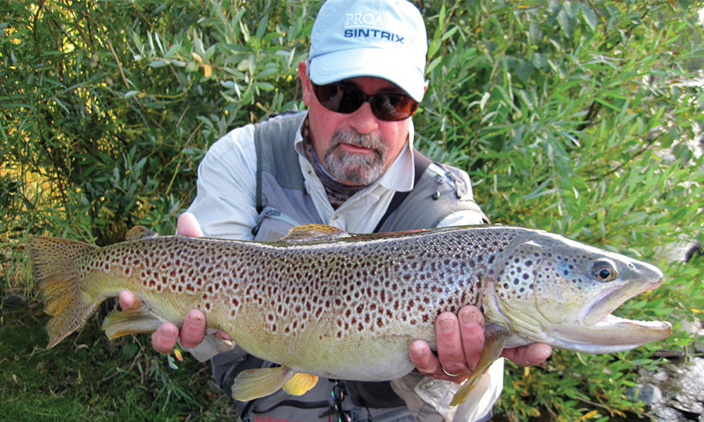 Douglas Ouellette  Portrait