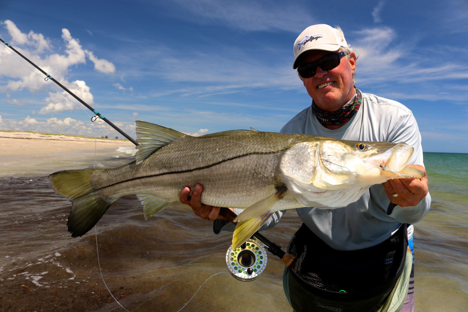 Mike Conner  Portrait