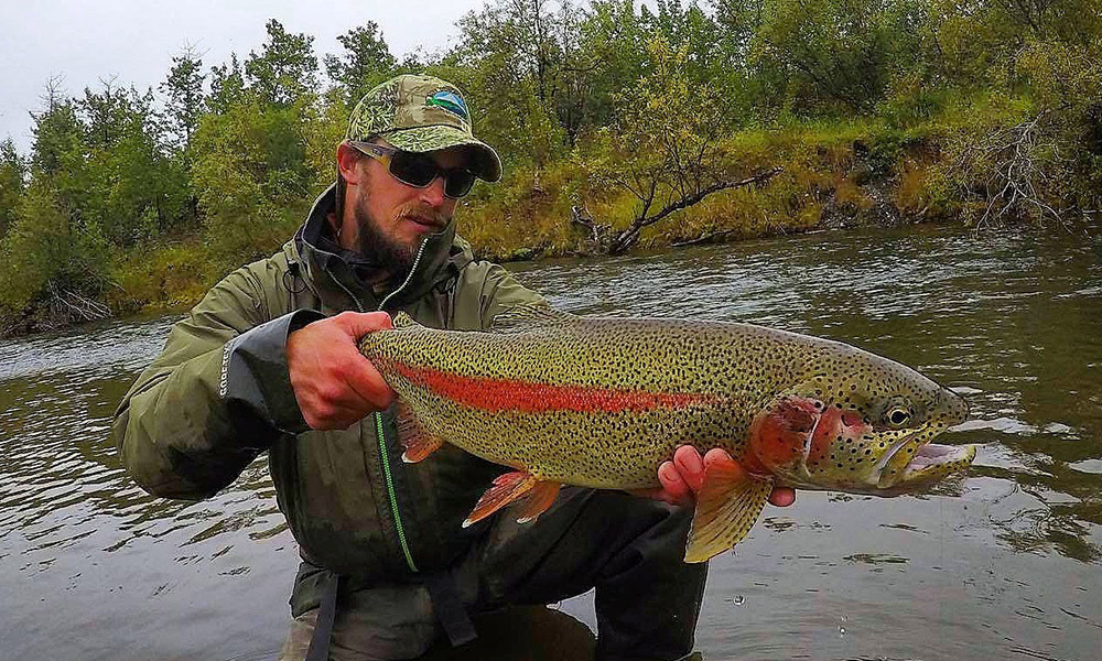 DANIEL ARMSTRONG Portrait