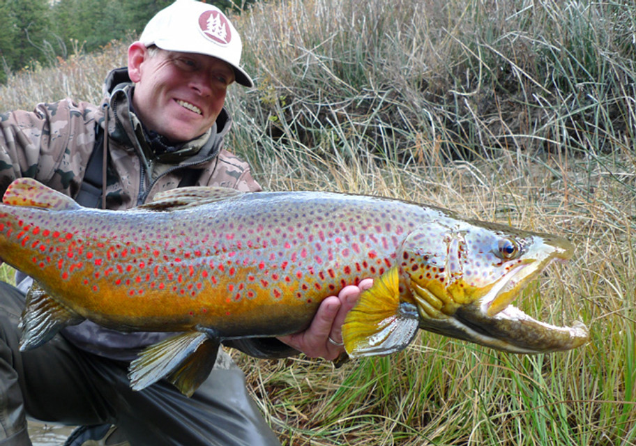 Paulson's Flutter Bug - Guided Fly Fishing Madison River, Lodging