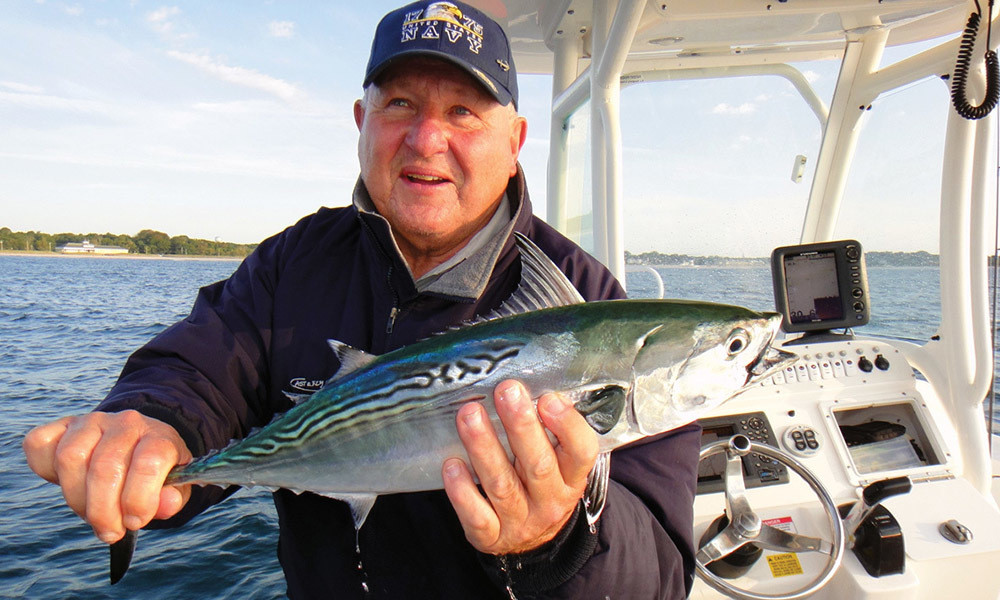 Ray Stachelek  Portrait