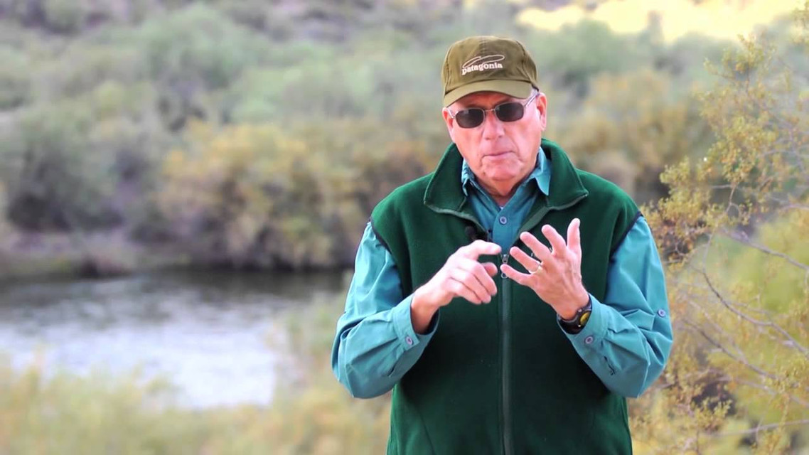 David Phares  Portrait