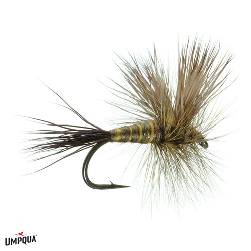 Green Dragon Spey  Salmon flies, Fly fishing, Fly fisherman