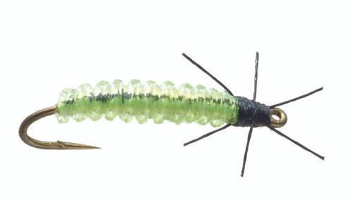 CADDIS LARVA