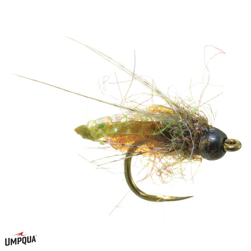 Jiggy Caddis Pupa - Fly Fishing Nymph - Umpqua Feather Merchants