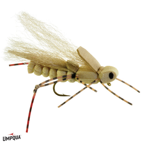 Sweetgrass Hopper