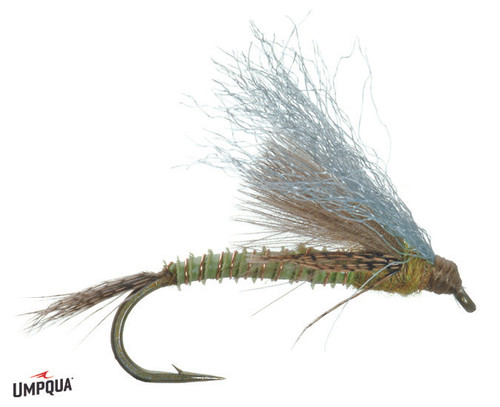 CDC GREEN DRAKE EMERGER