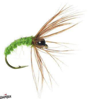 TENKARA CADDIS