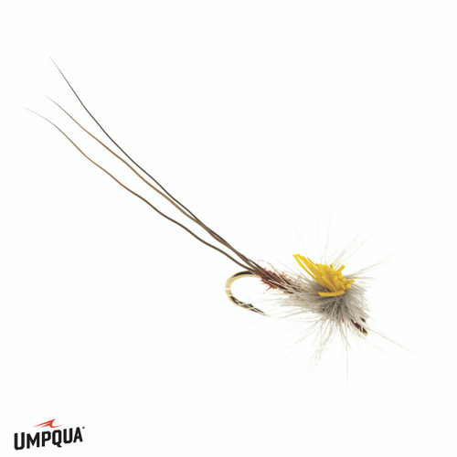 CDC Para-spinner BWO