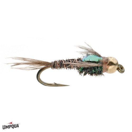 Flashback Pheasant Tail Brass Bead - Fly Fishing nymph - Umpqua Feather  Merchants