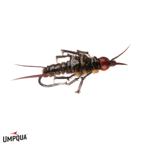 Flies - Hatch - Stonefly - Umpqua Feather Merchants