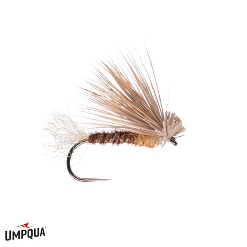 PT X CADDIS PT X CADDIS