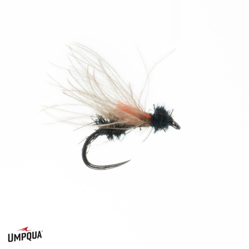CB'S SLACK WATER ANT