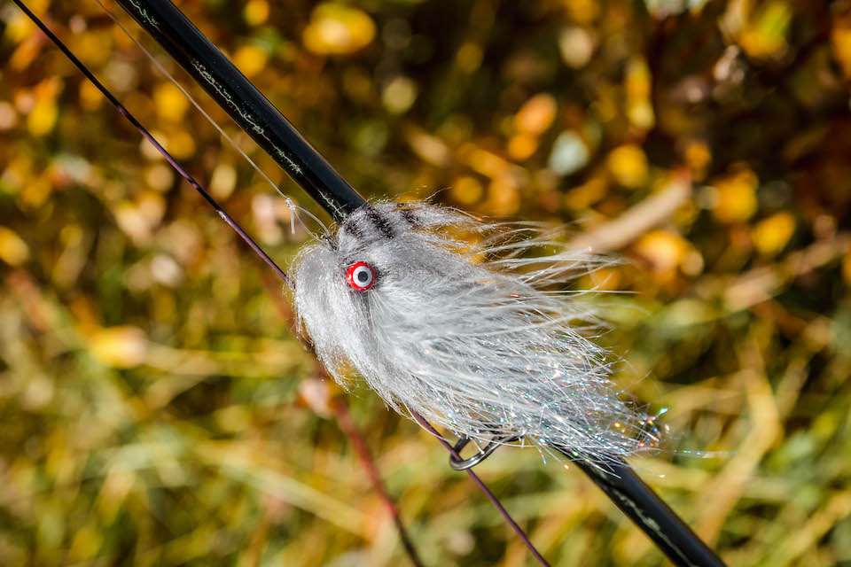 DOUBLE FUEGO gallery image