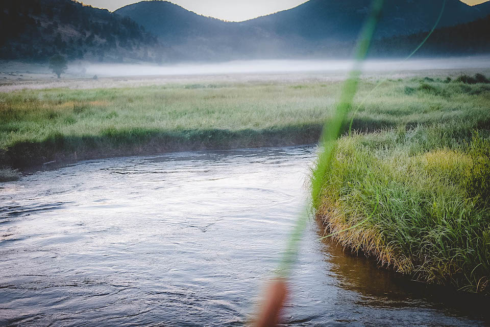 MR. HANKEY gallery image