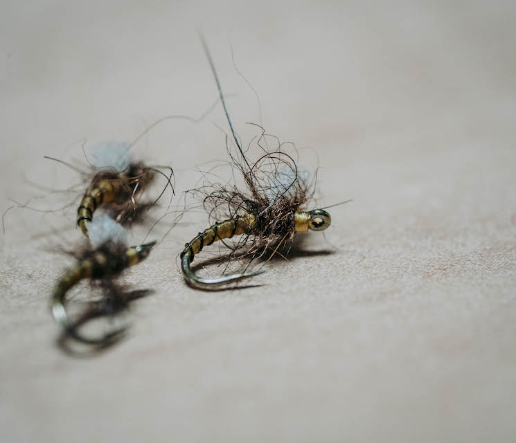 MASSACRE MIDGE gallery image