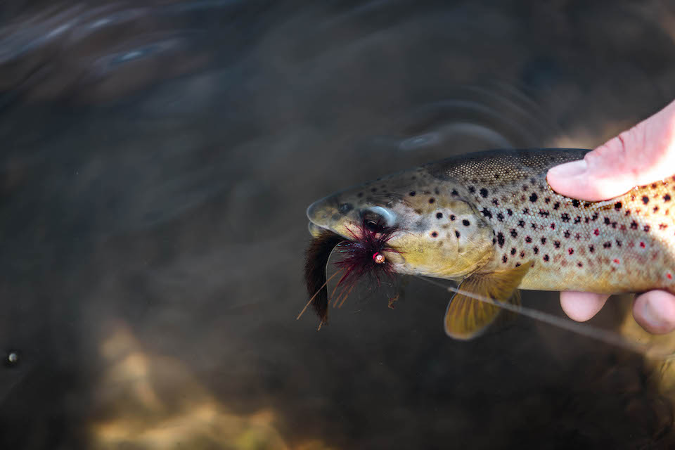 COUSIN IT SCULPIN JIG gallery image
