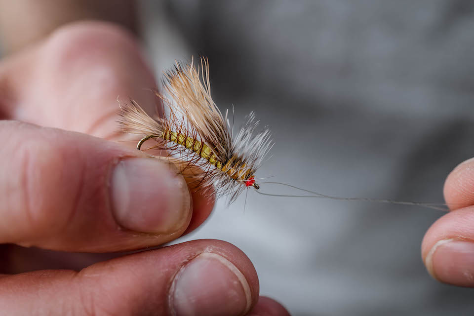 STIMULATOR KAUFMANN'S gallery image