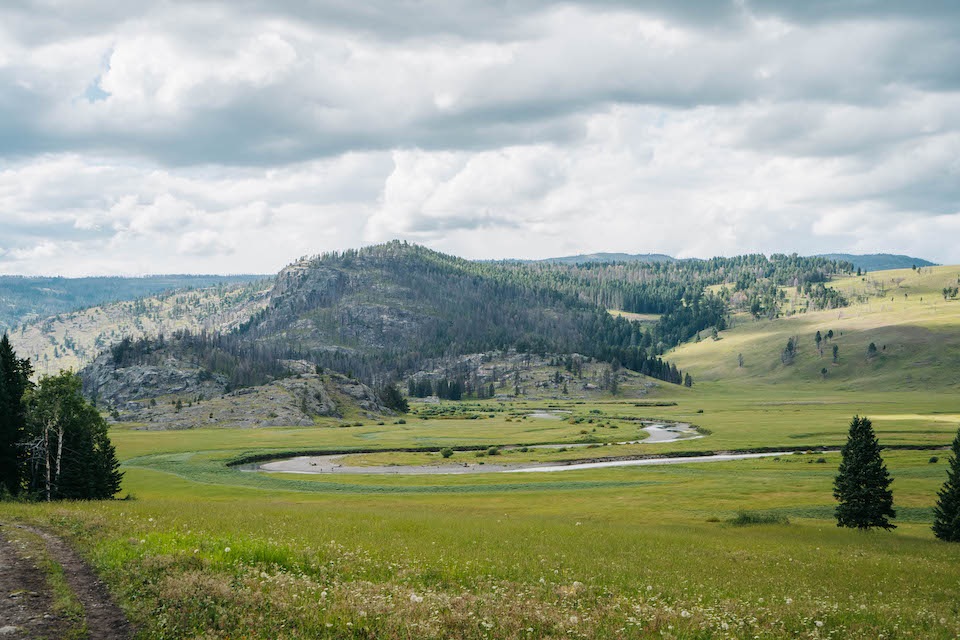 STIMULATOR KAUFMANN'S gallery image