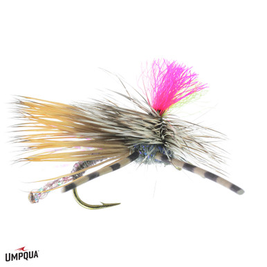 Jc-special-gray__08173.