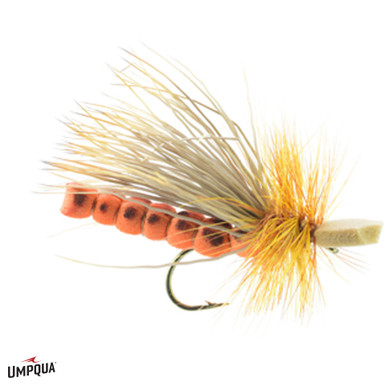 October_Caddis_Adult_Morrish__