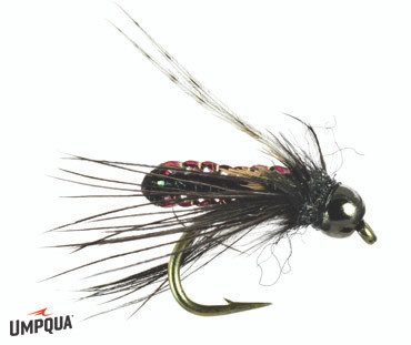 PUPA BH - Umpqua Feather Merchants