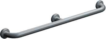 ASI Intermediate Support Grab Bar