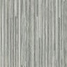 9203 Silver Oak Ply