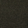 Cast Iron Metallic