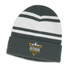 A green and white striped beanie with a folded cuff and a logo on the front.