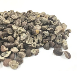 `A Step-by-Step Guide to Cold Water Extraction of LSA from Morning Glory and Hawaiian Baby Woodrose Seeds