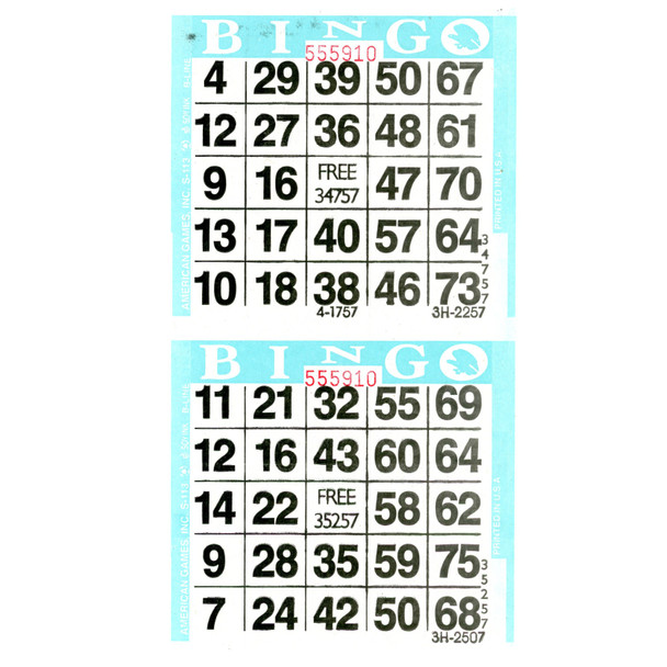 American Games Bingo Paper Game Cards - 2 cards - Aqua - 750 sheets per pack, Made in USA