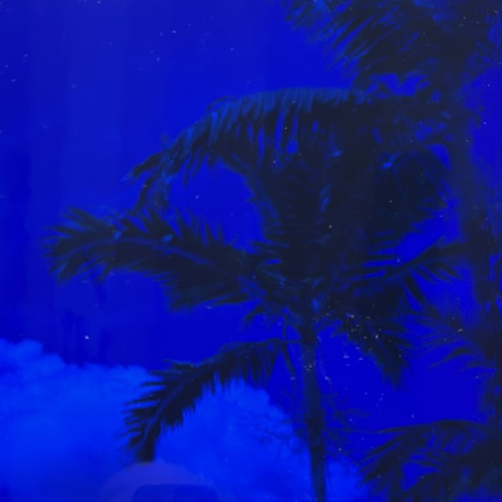 Dark Blue Transparent (OGT-136SF)