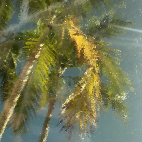 Light Olive Green Transparent (OGT-528-2SF)