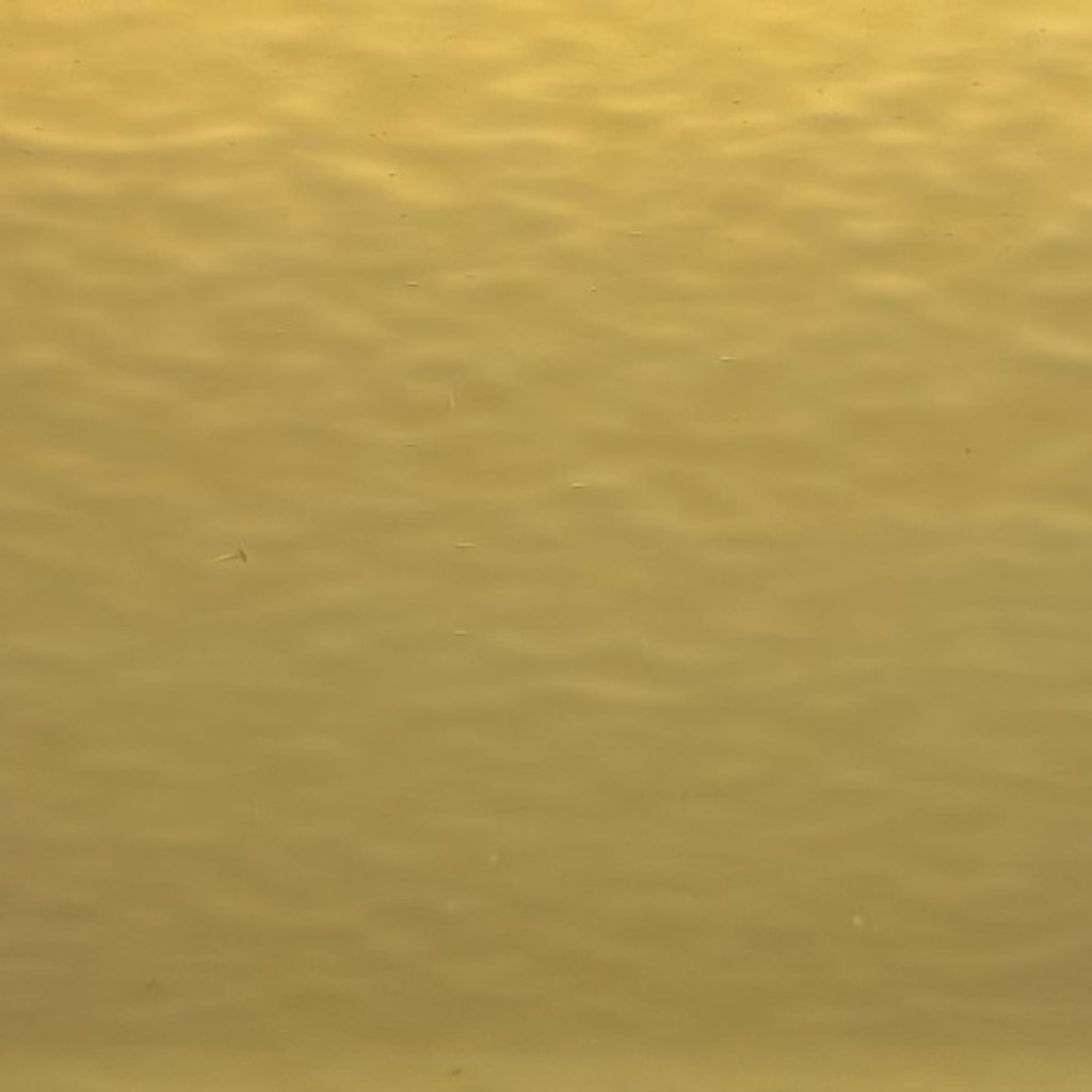 Pale Amber Waterglass (OGT-110.2WF)