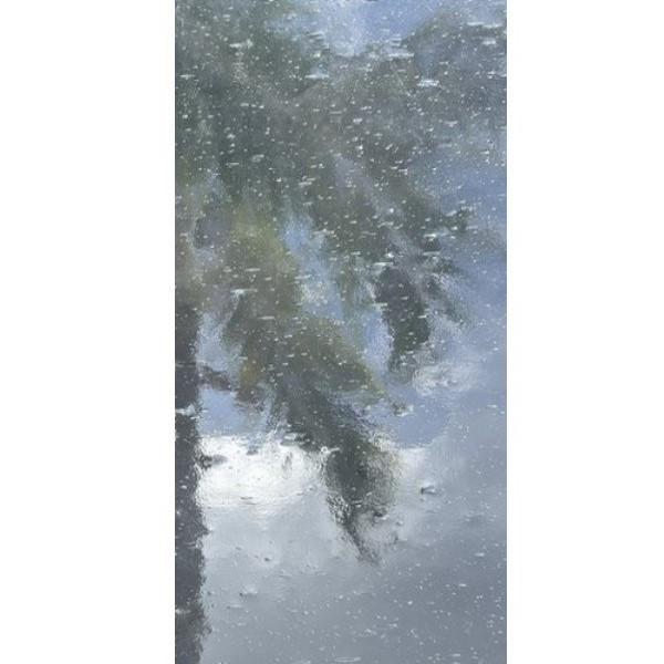 Clear Seedy (OGT-100SDY-6) - 6" x 12" Sheet