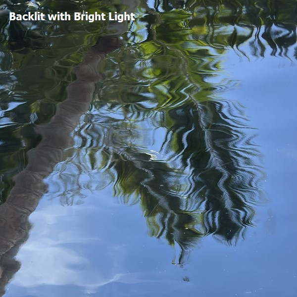 Gray Waterglass (OGT-180.8WF)