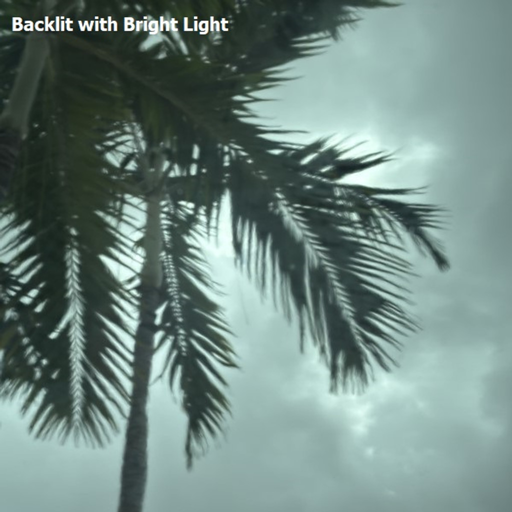 Sea Green Transparent (OGT-528-1SF)