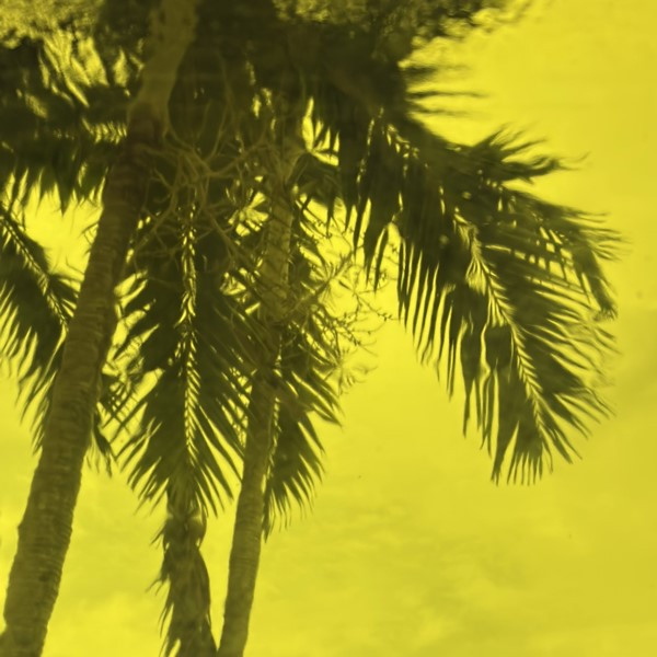 Yellow Transparent (OGT-161SF)